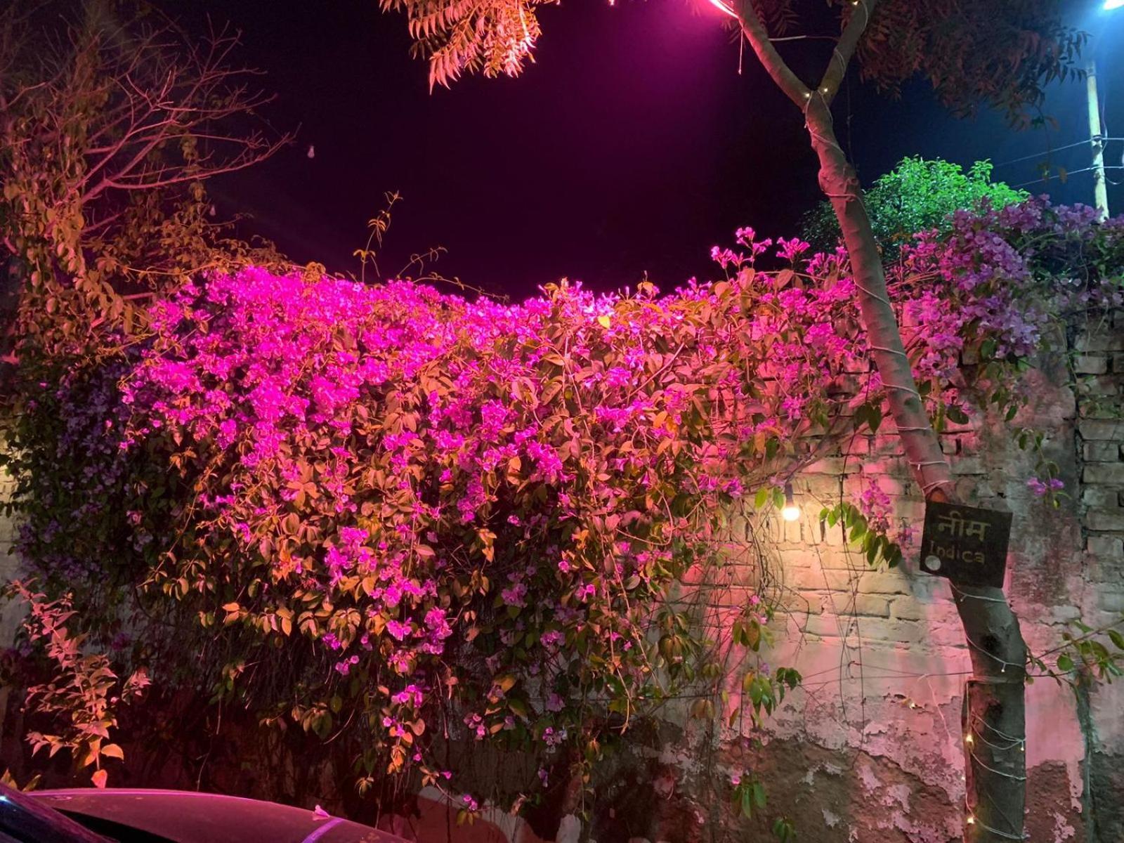 Nature Resort Агра Экстерьер фото